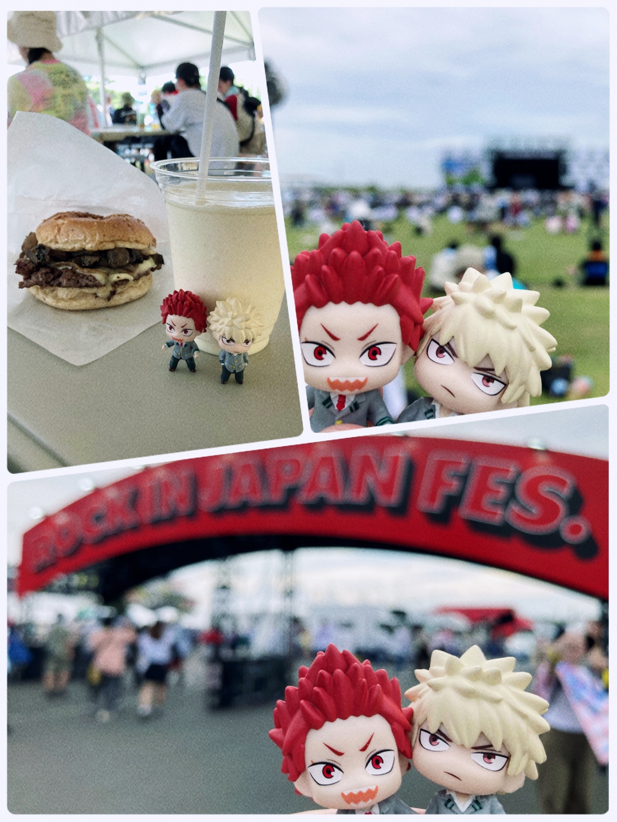 ROCK IN JAPAN FESTIVAL
